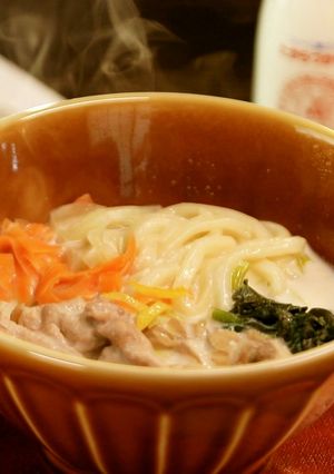 あっさり和風！牛乳うどん【食遺産】-レシピのメイン写真