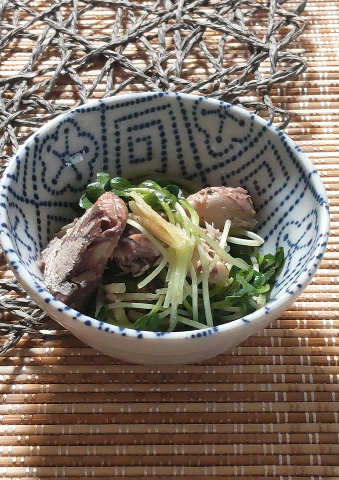 サバ缶とカイワレの旨だし和え-レシピのメイン写真