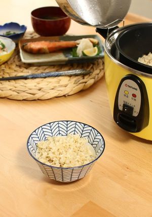 \大同電鍋/玄米の炊き方-レシピのメイン写真