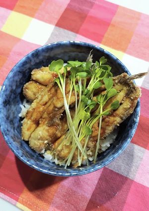 イワシの蒲焼き丼-レシピのメイン写真