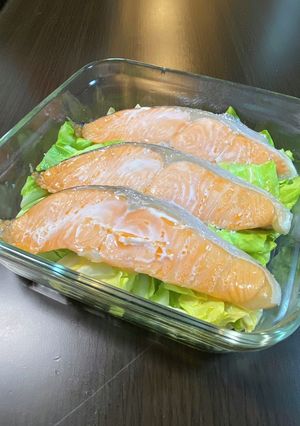 春キャベツと塩鮭のレンジ蒸し-レシピのメイン写真