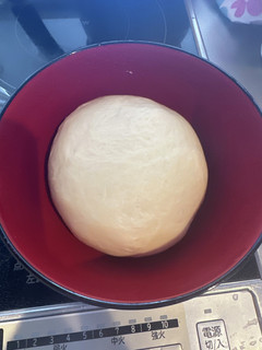 作り置きも可能♪万能ピザ生地作り♪-レシピのメイン写真