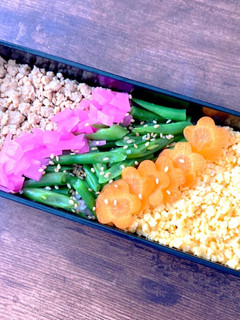 春の彩そぼろ弁当-レシピのメイン写真