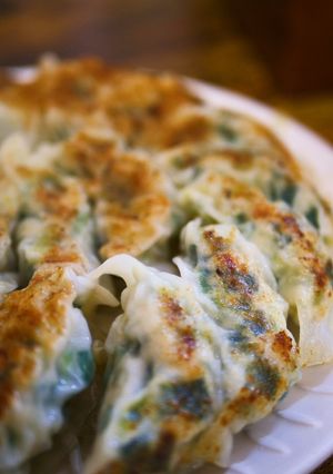 鶏胸肉であっさり！ダイエット餃子♡-レシピのメイン写真