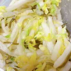 รูปของ 白菜の漬物