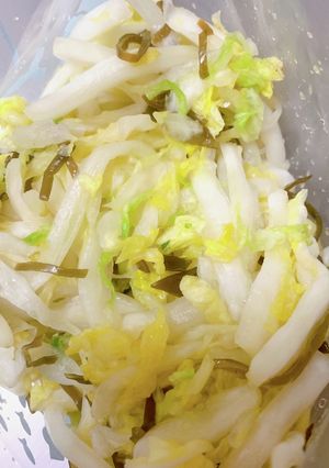 白菜の漬物-レシピのメイン写真