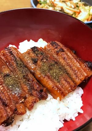 酢と酒で！トロリふっくら うなぎの温め方-レシピのメイン写真