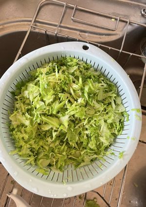 ハンドブレンダーでキャベツの千切り-レシピのメイン写真