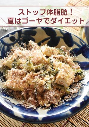 ストップ体脂肪！夏はゴーヤでダイエット-レシピのメイン写真