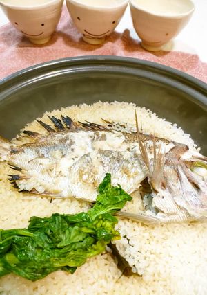 鯛ご飯-レシピのメイン写真
