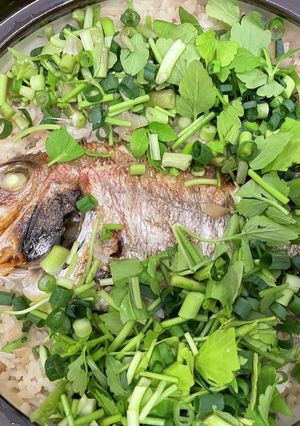 節約!春野菜セリたっぷりチダイの土鍋ご飯-レシピのメイン写真