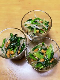 ほうれん草ともやしの納豆和え-レシピのメイン写真