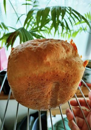 ＊米粉活用＊HBでごま食パン-レシピのメイン写真