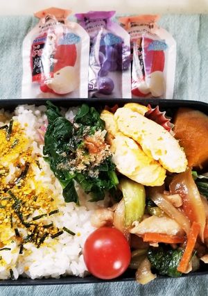 野菜炒め弁当(3.20)-レシピのメイン写真