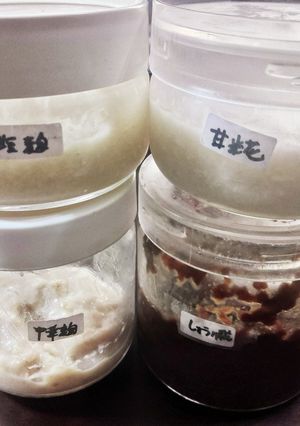 甘麹・塩麹・醤油麹・中華麹の作り方-レシピのメイン写真