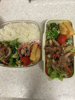 春休みお弁当3日目-レシピのメイン写真