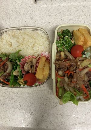 春休みお弁当3日目-レシピのメイン写真