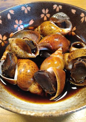 バイ貝の煮付け-レシピのメイン写真