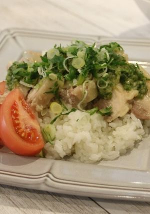 ネギダレの蒸し鶏ごはん-レシピのメイン写真