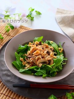 桜えびのサラダ-レシピのメイン写真