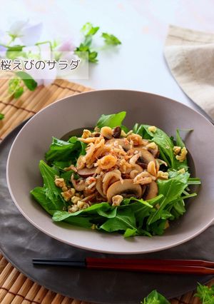 桜えびのサラダ-レシピのメイン写真