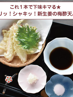 ピリッ!シャキッ!新生姜の梅酢天ぷら-レシピのメイン写真