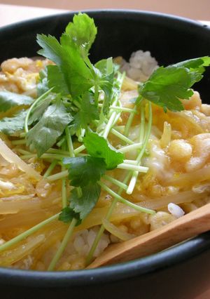 一人ご飯に♪簡単たぬき丼♪-レシピのメイン写真