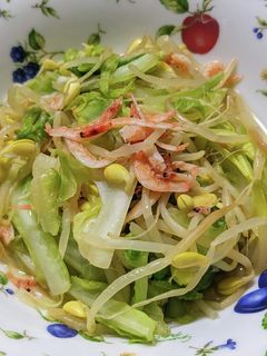 ✿春キャベツと桜エビの煮浸し✿-レシピのメイン写真