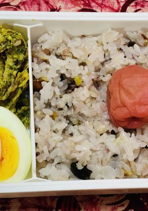 ホタテ貝ひもと卵弁当-レシピのメイン写真