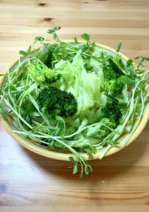 グリーンサラダ　豆苗活用-レシピのメイン写真