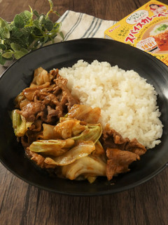 豚肉とキャベツのスパイスカレー-レシピのメイン写真