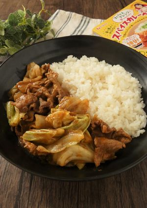 豚肉とキャベツのスパイスカレー-レシピのメイン写真