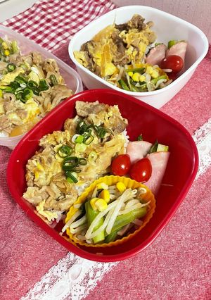 20230325お留守番お弁当-レシピのメイン写真