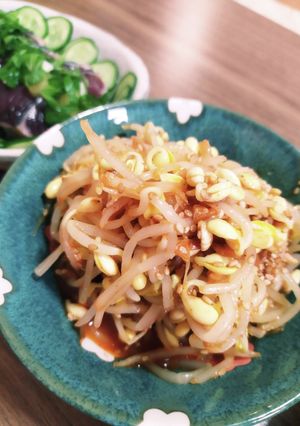 豆もやしのピリ辛ナムル検索トップ10入-レシピのメイン写真