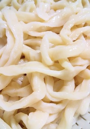 強力粉で作る 手打ち うどん-レシピのメイン写真