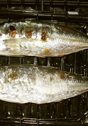魚・アジの塩焼き♪冷え性・痛みに簡単薬膳-レシピのメイン写真