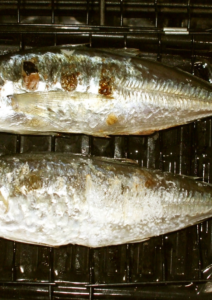 魚・アジの塩焼き♪冷え性・痛みに簡単薬膳-レシピのメイン写真