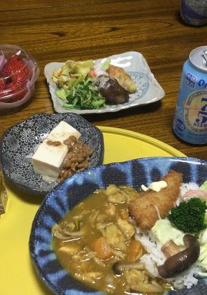 酒粕カレー-レシピのメイン写真