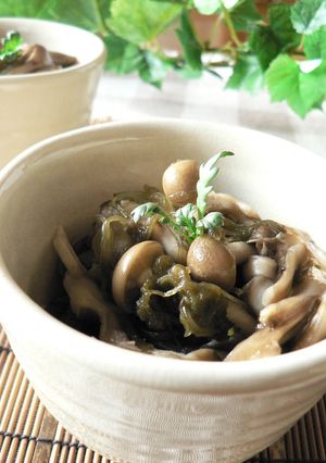 ローカロリー！きのことめかぶのサッパリ！-レシピのメイン写真