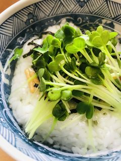 お茶漬けの素●かいわれ茶漬け-レシピのメイン写真