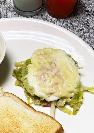 キャベツとチーズの巣篭もり-レシピのメイン写真