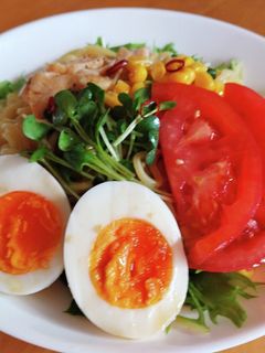 ラーメンサラダ-レシピのメイン写真