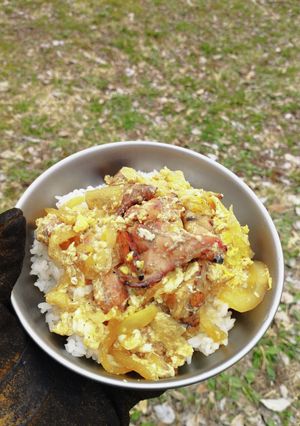 炭火焼き親子丼-レシピのメイン写真
