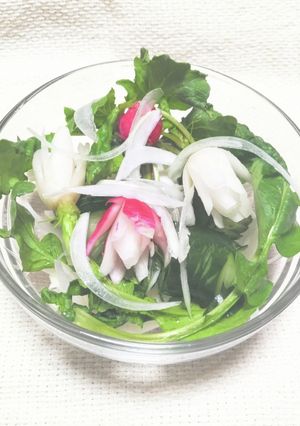 紅白二十日大根サラダ-レシピのメイン写真