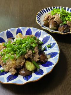 春なすの肉味噌炒め-レシピのメイン写真