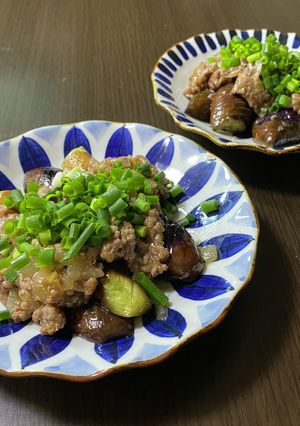 春なすの肉味噌炒め-レシピのメイン写真