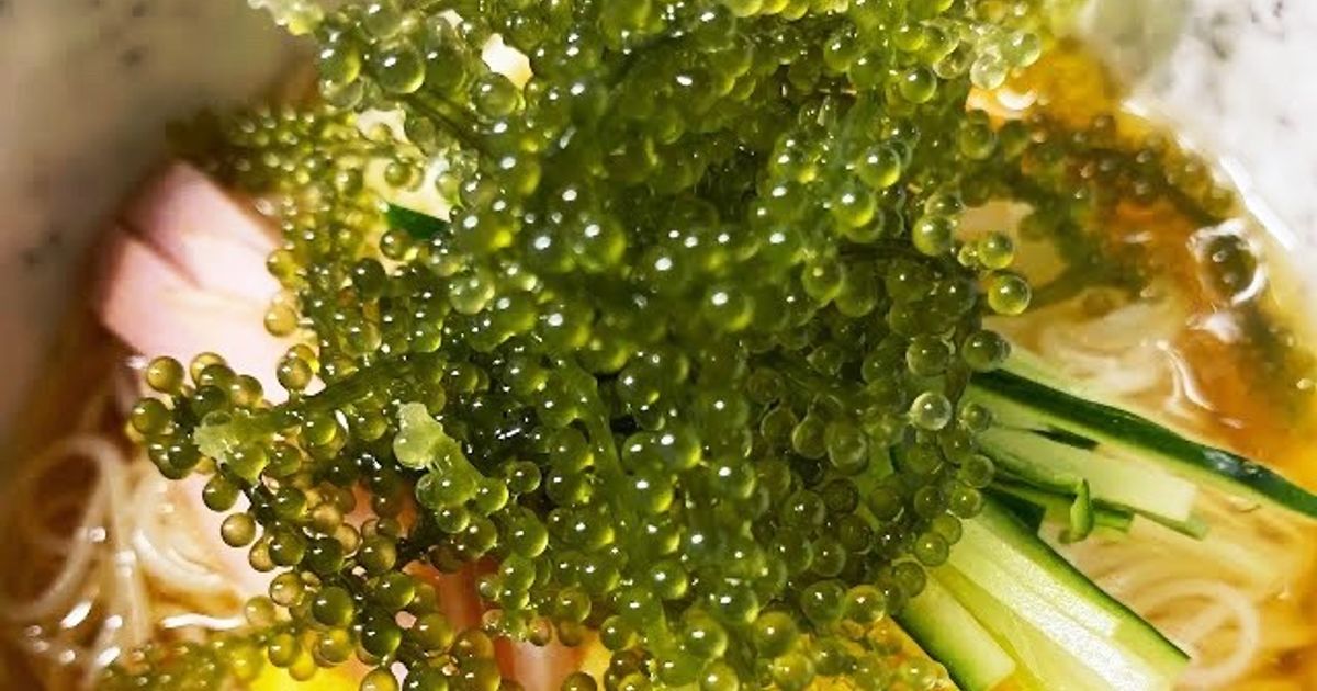 冷やしそうめん 赤しそ風味 by 三島食品 【クックパッド】 簡単