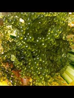 海ぶどう冷やしそうめん-レシピのメイン写真