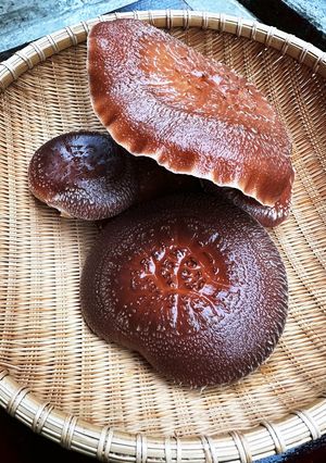 干ししいたけ-レシピのメイン写真