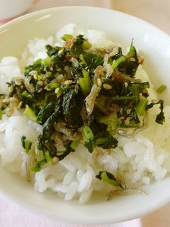 大根菜のふりかけ(じゃこ入り)-レシピのメイン写真